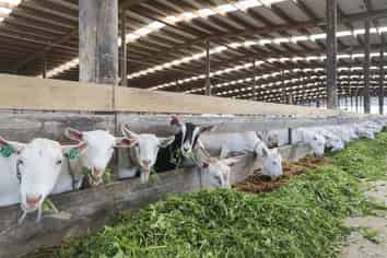 1532 Orini Road, Taupiri