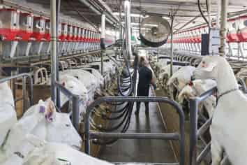 1532 Orini Road, Taupiri