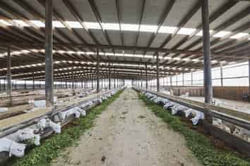 1532 Orini Road, Taupiri