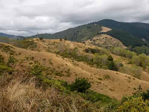 Lot 2 DP35 Panorama Drive, Enner Glynn