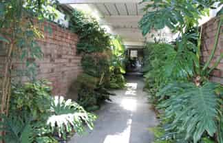 3/42 Speight Road, Kohimarama