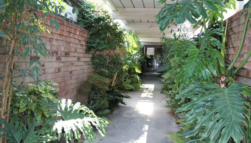 3/42 Speight Road, Kohimarama