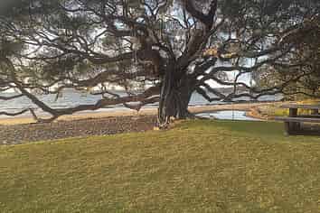 40 Brick Bay Drive, Sandspit