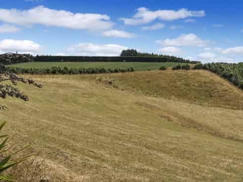 133 Morrison Road, Pukekawa