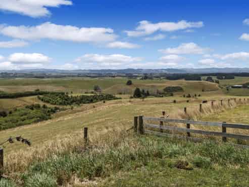 133 Morrison Road, Pukekawa