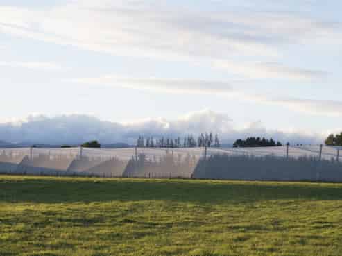 78 Gregs Lane, RD 1, Greytown