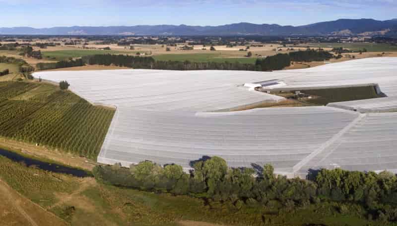 78 Gregs Lane, RD 1, Greytown