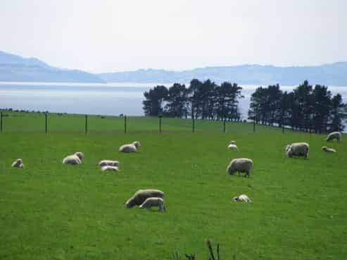 111 Quoin Point Road, Milton