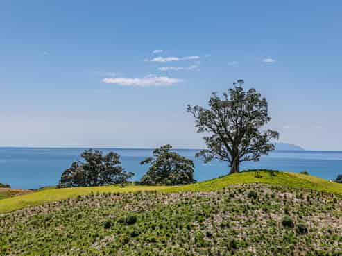 306 Sea View Road - 25 Sites in Wawata Estate, Onetangi