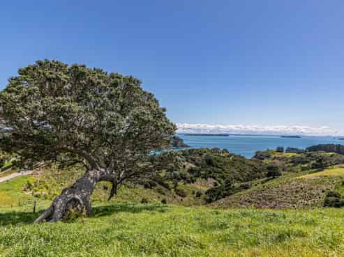 306 Sea View Road - 25 Sites in Wawata Estate, Onetangi