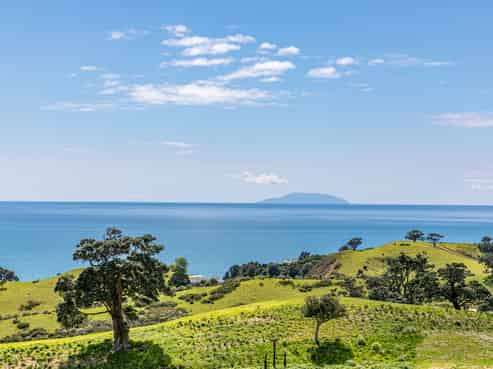 306 Sea View Road - 25 Sites in Wawata Estate, Onetangi