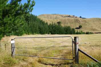 487 Whangamata Road, Kinloch