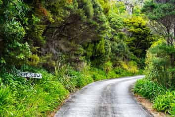 Lot 3 Dolphin Place, Tutukaka