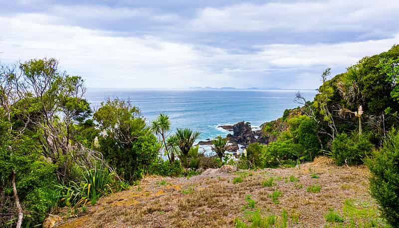 Lot 3 Dolphin Place, Tutukaka