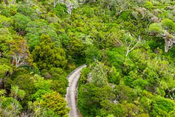 Lot 3 Dolphin Place, Tutukaka