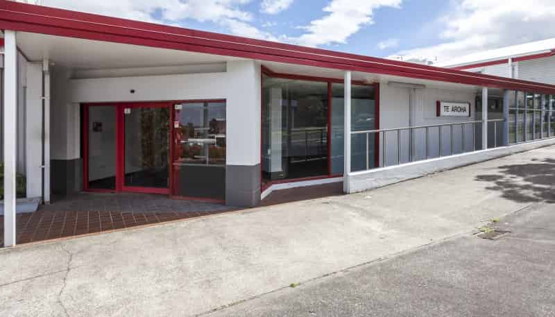 164 Whitaker Street, Te Aroha