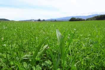 522 Gannons Road, Reefton