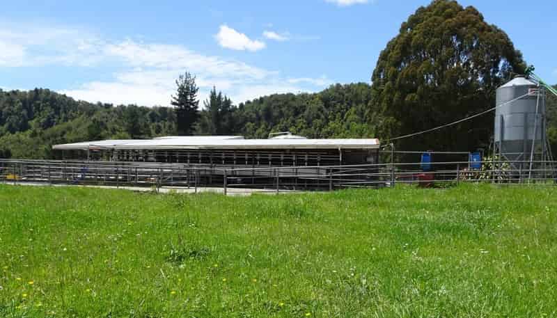 522 Gannons Road, Reefton