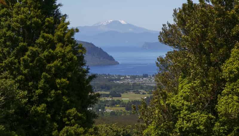 1549E Poihipi Road, Oruanui