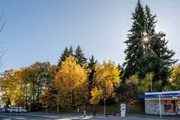 Development Alert Central Wanaka