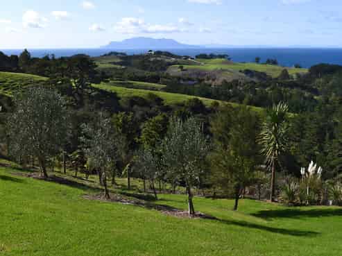 Lot 5, 7 Mount Pleasant Drive, Leigh