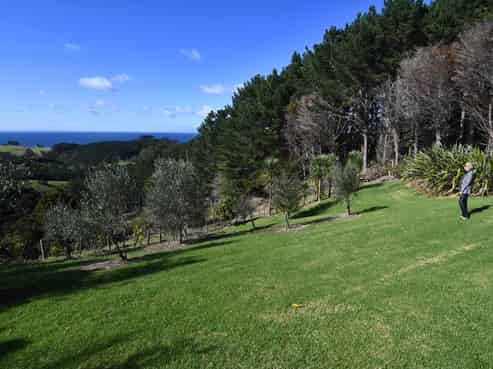 Lot 5, 7 Mount Pleasant Drive, Leigh