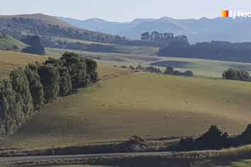 . Goodwood Road, Palmerston