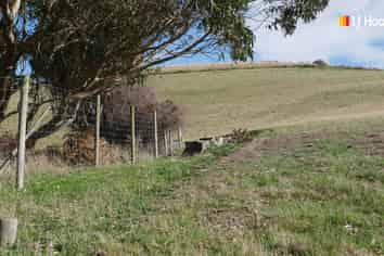 . Goodwood Road, Palmerston