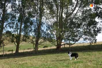 . Goodwood Road, Palmerston