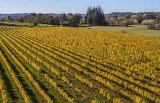 83 Old House Road, Upper Moutere