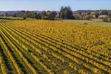 83 Old House Road, Upper Moutere