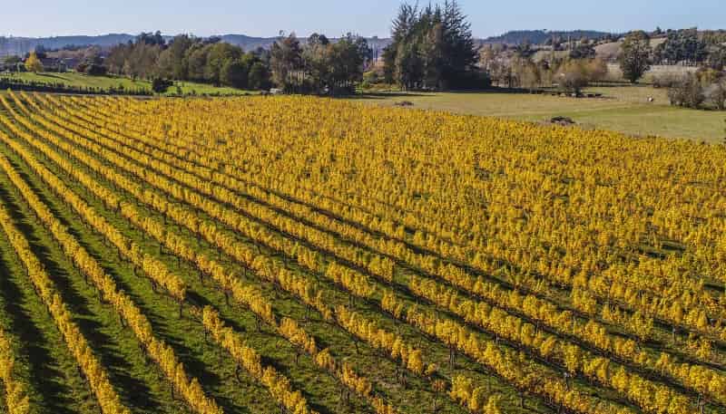 83 Old House Road, Upper Moutere