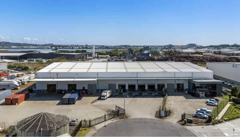 113 Savill Drive, Otahuhu