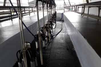 280 Rimmer Road, Helensville