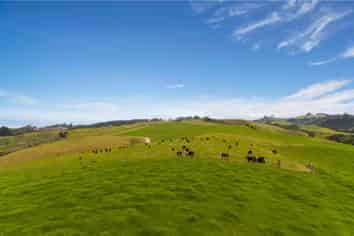 280 Rimmer Road, Helensville