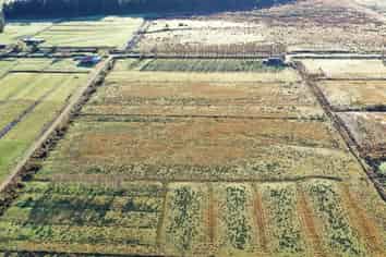 Lot 1 DP 3 La Fontaine Road, Harihari