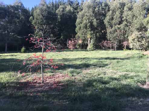 9 Lind Street, Kimbolton