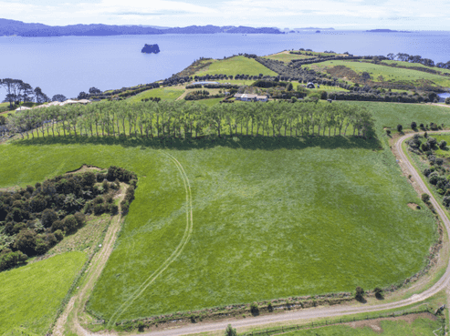 404 Lees Road, Hahei