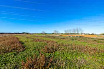 Auckland - Address withheld