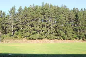 40 Wainui Street, Dobson