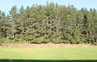 40 Wainui Street, Dobson