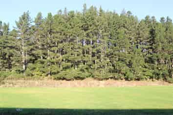 40 Wainui Street, Dobson