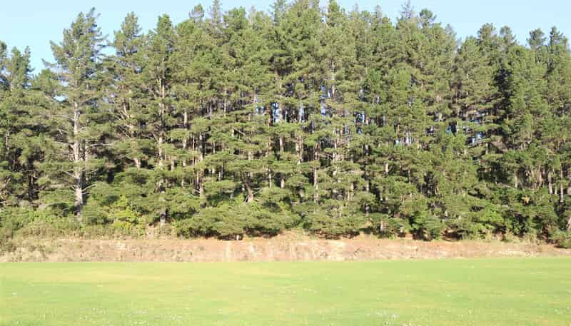 40 Wainui Street, Dobson