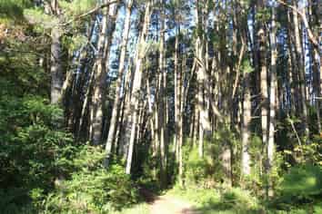 40 Wainui Street, Dobson