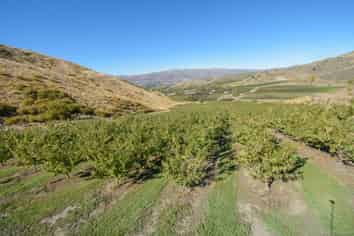  Felton Road, Bannockburn