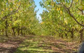  Felton Road, Bannockburn