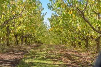  Felton Road, Bannockburn