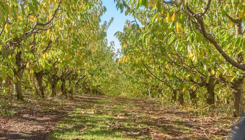  Felton Road, Bannockburn