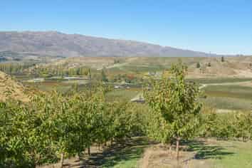  Felton Road, Bannockburn