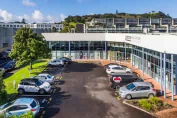 Mount Eden Office / Warehouse